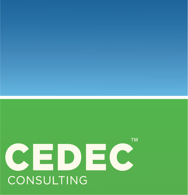 CEDEC Consulting