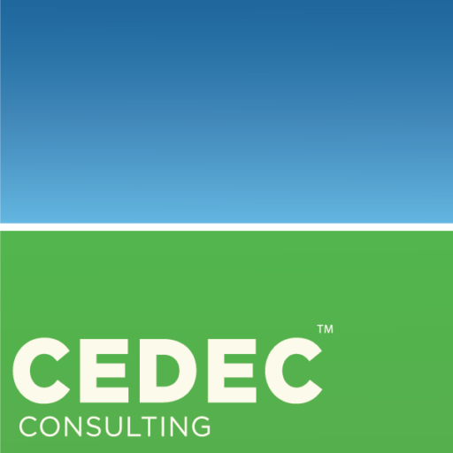 CEDEC Consulting